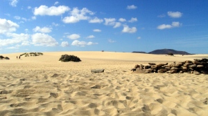 dune - corralejo